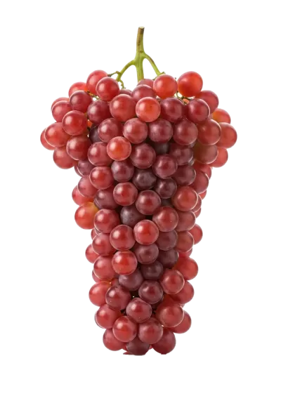 Imagen PNG para descargar